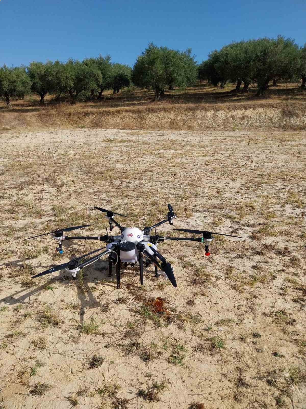 Έξαρχος 2023- Δολωματική Εφαρμογή
